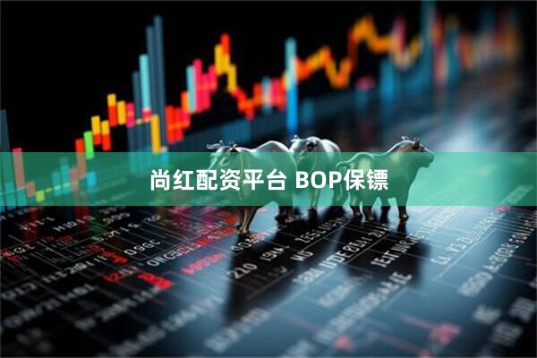 尚红配资平台 BOP保镖
