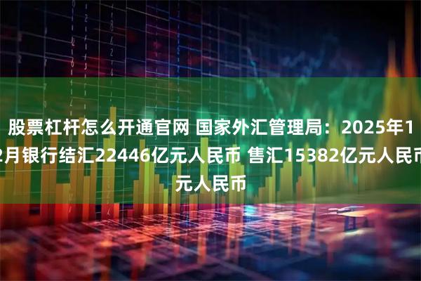股票杠杆怎么开通官网 国家外汇管理局：2025年12月银行结汇22446亿元人民币 售汇15382亿元人民币