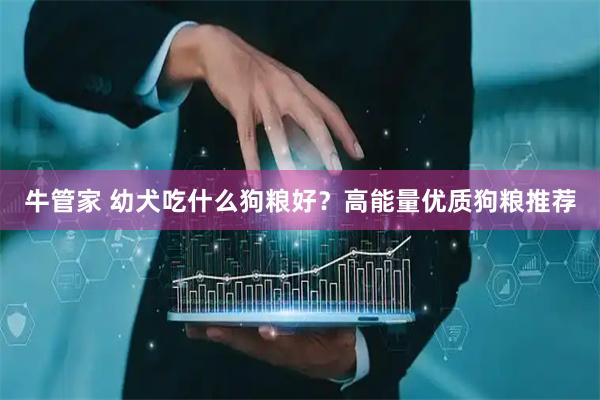 牛管家 幼犬吃什么狗粮好？高能量优质狗粮推荐