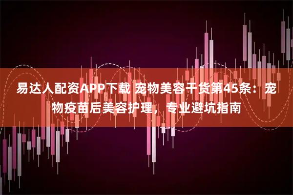 易达人配资APP下载 宠物美容干货第45条：宠物疫苗后美容护理，专业避坑指南